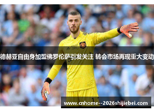 德赫亚自由身加盟佛罗伦萨引发关注 转会市场再现重大变动 德赫亚自由身加盟佛罗伦萨引发关注 转会市场再现重大变动
