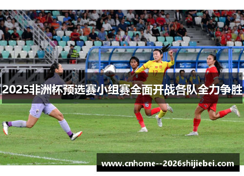 2025非洲杯预选赛小组赛全面开战各队全力争胜