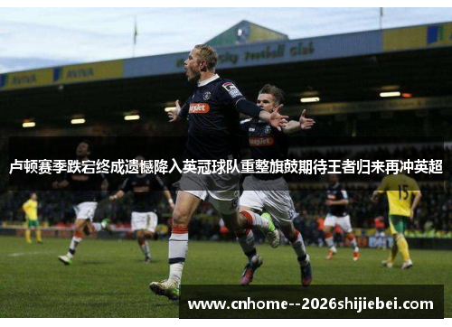 卢顿赛季跌宕终成遗憾降入英冠球队重整旗鼓期待王者归来再冲英超